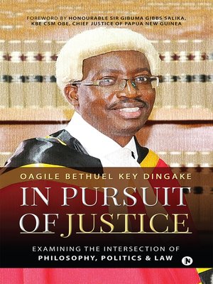 cover image of In Pursuit of Justice